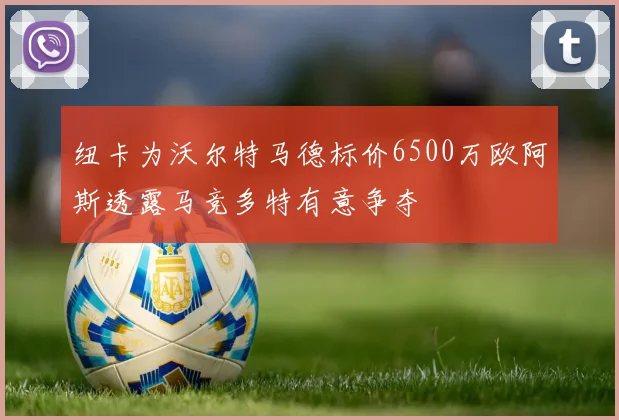 纽卡为沃尔特马德标价6500万欧阿斯透露马竞多特有意争夺